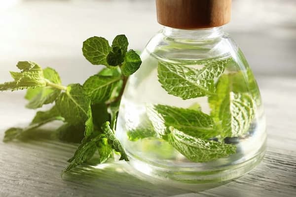 تصویر 2 از قیمت خرید عرق نعنا دو آتیشه + فروش ویژه