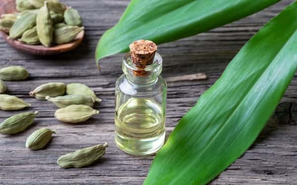 تصویر 5 از قیمت خرید عرق هل اصل + فروش ویژه