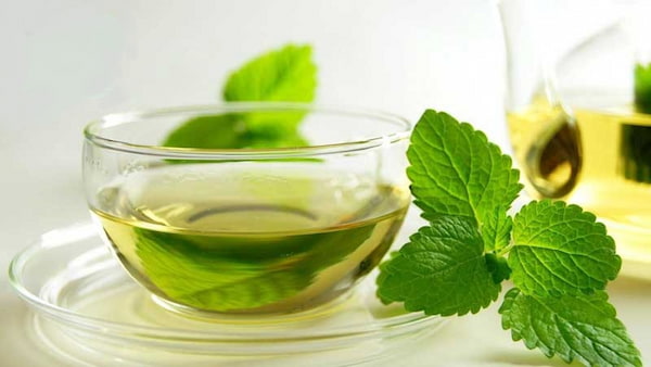 معرفی عرق نعنا دو آتیشه + بهترین قیمت خرید