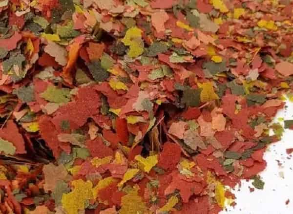 تصویر 5 از قیمت خرید غذا ماهی گوپی پولکی + فروش ویژه