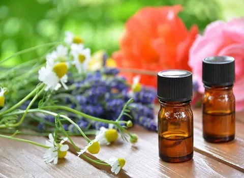 تصویر 2 از قیمت اسانس گیاهی خوشبو با کیفیت ارزان + خرید عمده