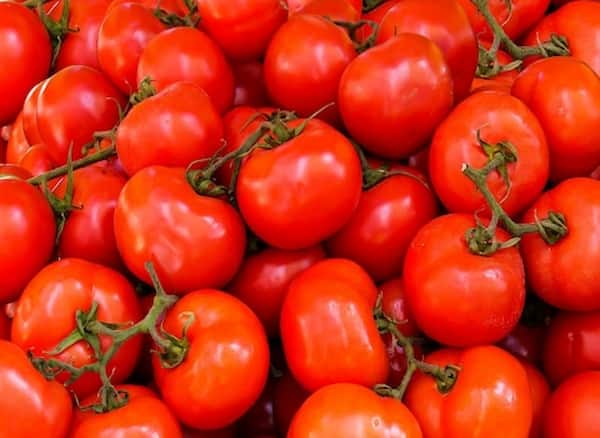 تصویر 2 از رب گوجه فرنگی رنگ طبیعی دلپذیر