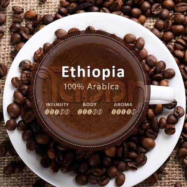 خرید جدیدترین انواع قهوه عربیکا اتیوپی