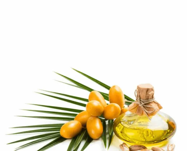 تصویر 5 از خرید روغن هسته خرما طبیعی + قیمت عالی باکیفیت