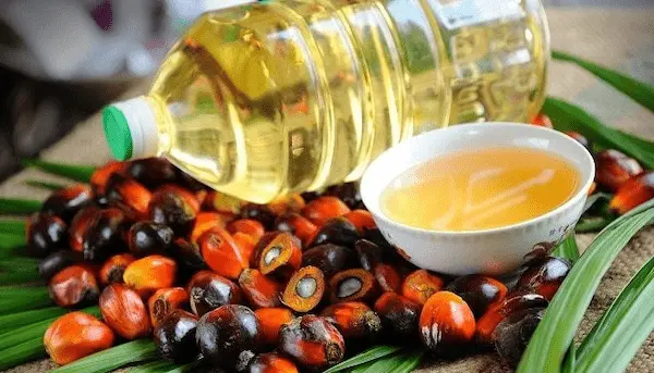 تصویر 1 از خرید روغن هسته خرما طبیعی + قیمت عالی باکیفیت