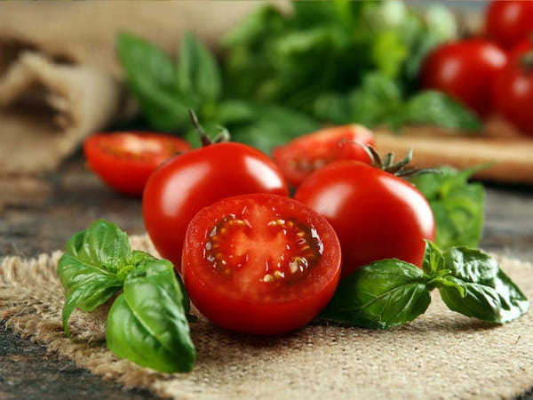 تصویر 2 از قیمت خرید گوجه فرنگی گلخانه ای + فروش ویژه