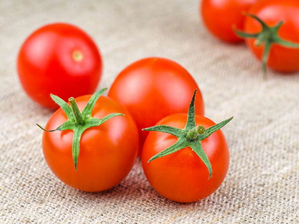 تصویر 5 از قیمت خرید گوجه فرنگی گلخانه ای + فروش ویژه