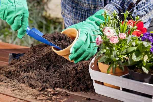 تصویر 3 از قیمت خرید خاک سبک روف گاردن کیمیا کمپوست + فروش ویژه