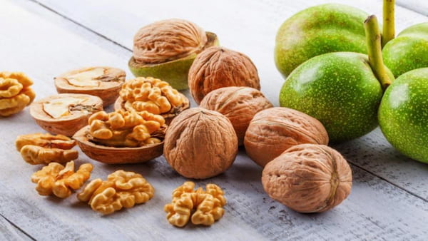 تصویر 1 از قیمت گردو تویسرکان همدان + خرید باور نکردنی