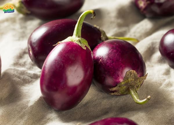 تصویر 4 از قیمت خرید بادمجان دلمه ای شیرین + فروش ویژه