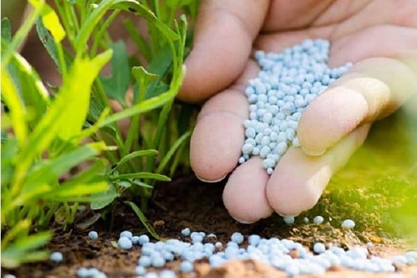 تصویر 2 از قیمت کود نانو ارگانیک + خرید باور نکردنی