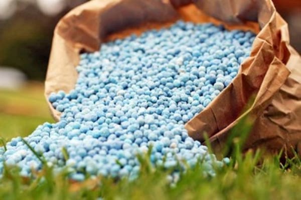 تصویر 1 از قیمت کود نانو ارگانیک + خرید باور نکردنی
