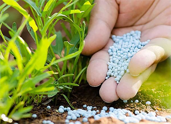 تصویر 4 از قیمت کود نانو ارگانیک + خرید باور نکردنی