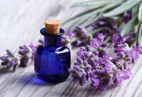 تصویر 3 از راهنمای خرید اسانس اسطخودوس الیس + قیمت عالی
