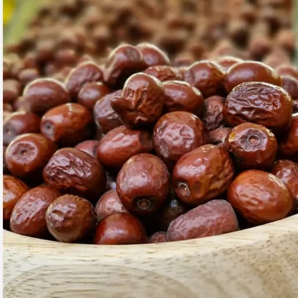 تصویر 5 از فروش عناب درشت بیرجند + قیمت خرید به صرفه