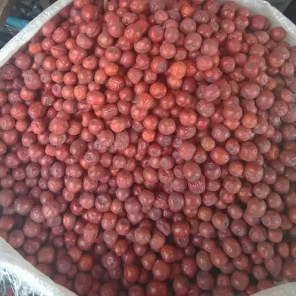 تصویر 2 از خرید و فروش عناب تازه مشهد با شرایط فوق العاده