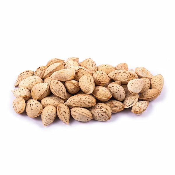 تصویر 2 از خرید بادام درختی خام + بهترین قیمت