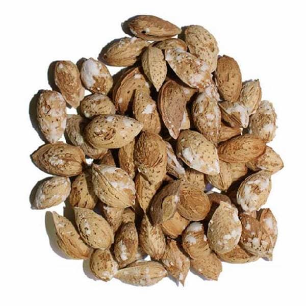 تصویر 4 از قیمت و خرید بادام درختی شور + فروش ارزان
