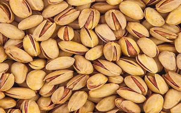 تصویر 2 از قیمت خرید پسته اکبری شور + فروش ویژه