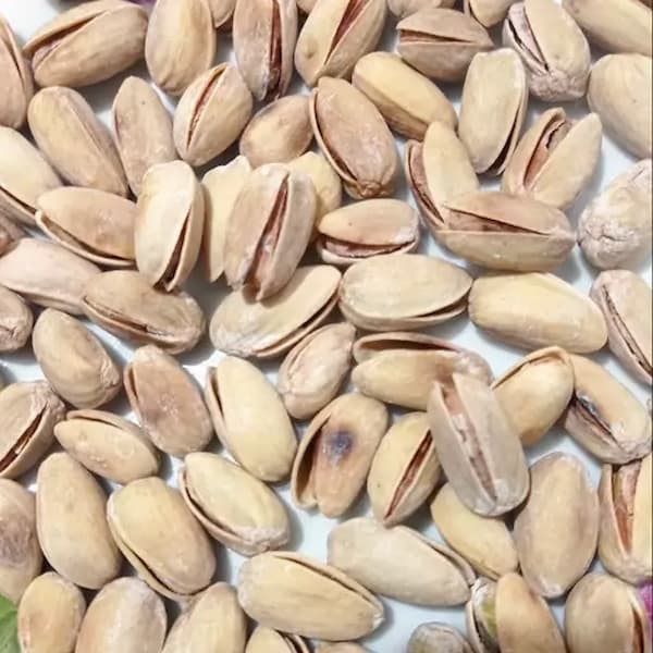تصویر 4 از خرید و فروش پسته اکبری نمکی با شرایط فوق العاده