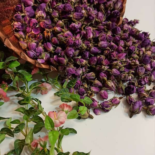 تصویر 1 از قیمت و خرید غنچه گل محمدی صادراتی + فروش ارزان