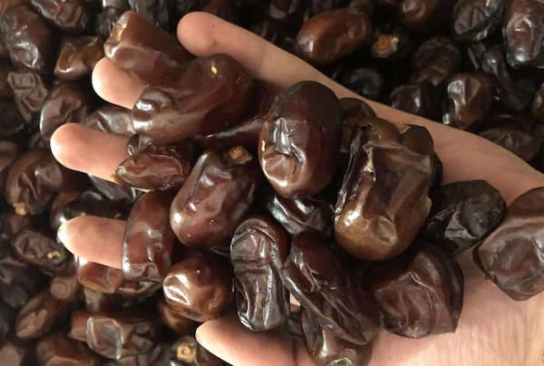 تصویر 4 از فروش خرما صادراتی بم + قیمت خرید به صرفه
