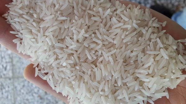 تصویر 5 از فروش برنج طارم هاشمی درجه یک + قیمت خرید به صرفه