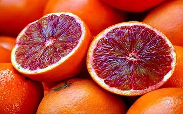 تصویر 2 از خرید و فروش پرتقال خونی تاراکو با شرایط فوق العاده