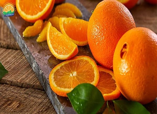 تصویر 1 از قیمت پرتقال شیرین جنوب با کیفیت ارزان + خرید عمده