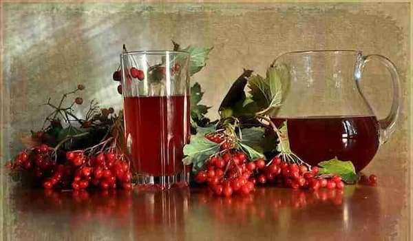 تصویر 3 از فروش کنسانتره زرشک قائنات + قیمت خرید به صرفه