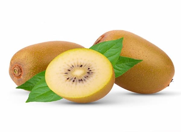 تصویر 5 از قیمت خرید کیوی طلایی رنگ با فروش عمده