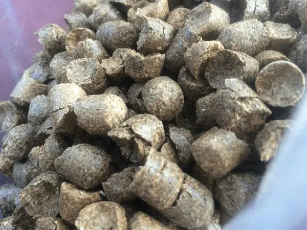 قیمت تفاله چغندر دیمومت + خرید باور نکردنی
