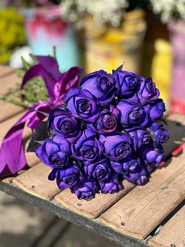 تصویر 3 از خرید جدیدترین انواع گل رز بنفش