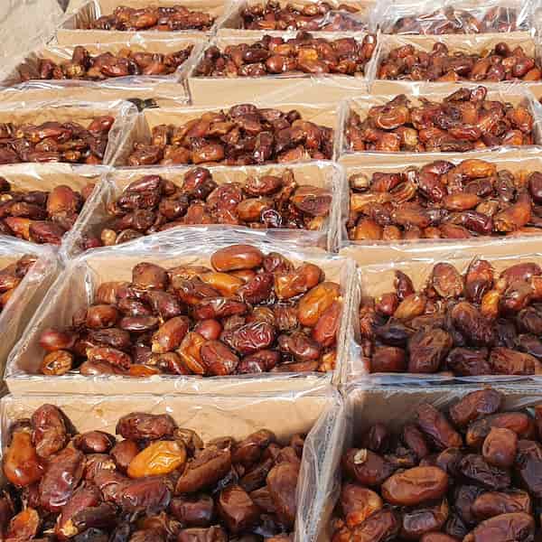 تصویر 5 از قیمت خرما کبکاب درجه یک صادرتی + خرید باور نکردنی