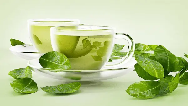 معرفی چای سبز ممتاز ایرانی + بهترین قیمت خرید