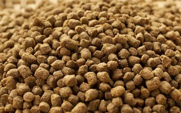 تصویر 1 از قیمت روز غذای ماهی کپور