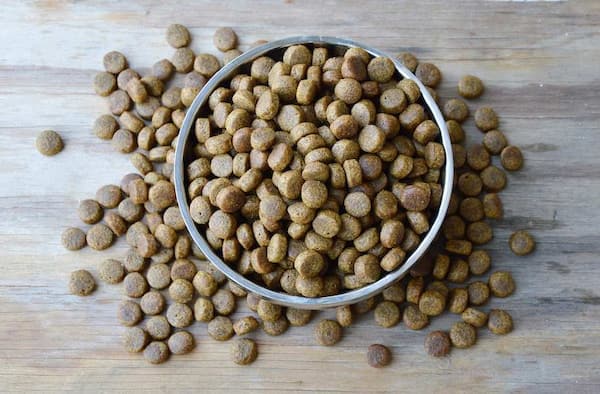 تصویر 1 از قیمت غذای اکسترود قزل آلا + خرید باور نکردنی