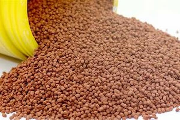 تصویر 2 از خرید و قیمت غذای قزل آلا پرورشی + فروش عمده