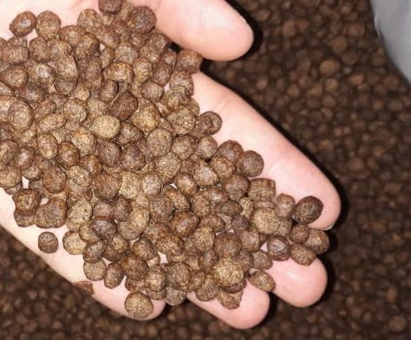 تصویر 1 از خرید غذای پلت شده ماهی + قیمت فروش استثنایی