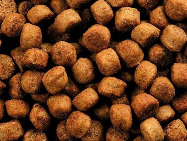 تصویر 3 از خرید غذای پلت شده ماهی + قیمت فروش استثنایی