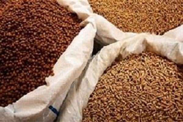تصویر 5 از خرید غذای پلت شده ماهی + قیمت فروش استثنایی