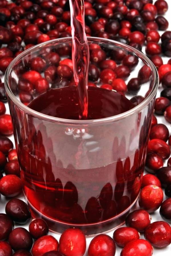 تصویر 5 از قیمت خرید آب ذغال اخته ۱/۵ لیتری دست ساز عمده به صرفه و ارزان