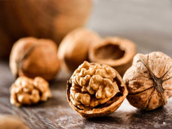 تصویر 4 از قیمت گردوی درسته اعلا + خرید باور نکردنی