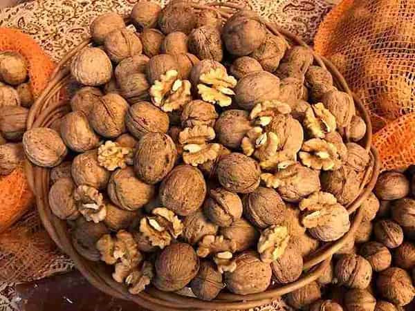 تصویر 4 از خرید و قیمت مغز گردوی ایرانی درجه یک + فروش عمده