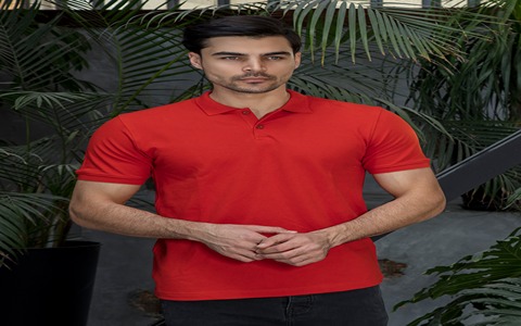 تصویر 1 از خرید و قیمت تی شرت مردانه یقه دار + فروش عمده