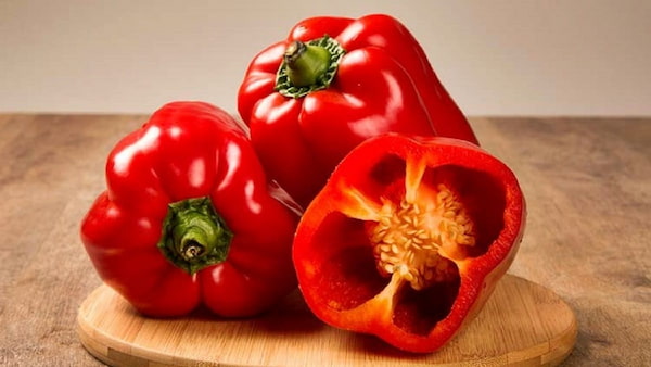 تصویر 4 از خرید و قیمت فلفل دلمه قرمز + فروش عمده