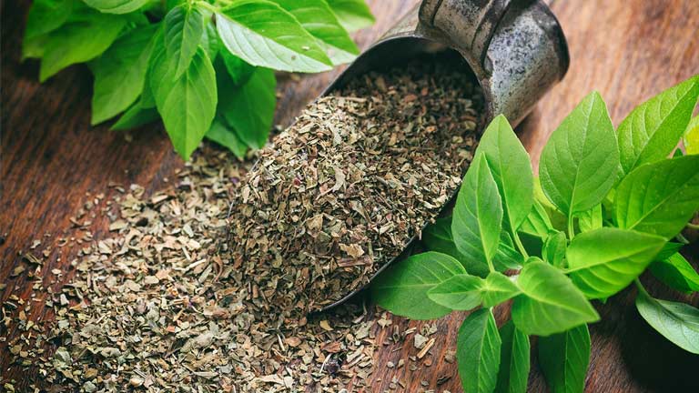 تصویر 2 از خرید ریحان خشک شده + قیمت فروش استثنایی