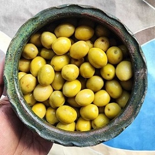 تصویر 3 از خرید و قیمت زیتون سبز بدون هسته + فروش عمده