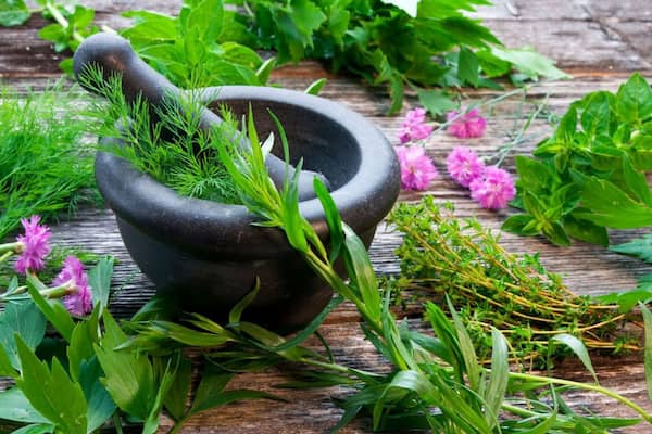 تصویر 5 از خرید و قیمت گیاه دارویی ارگانیک + فروش صادراتی