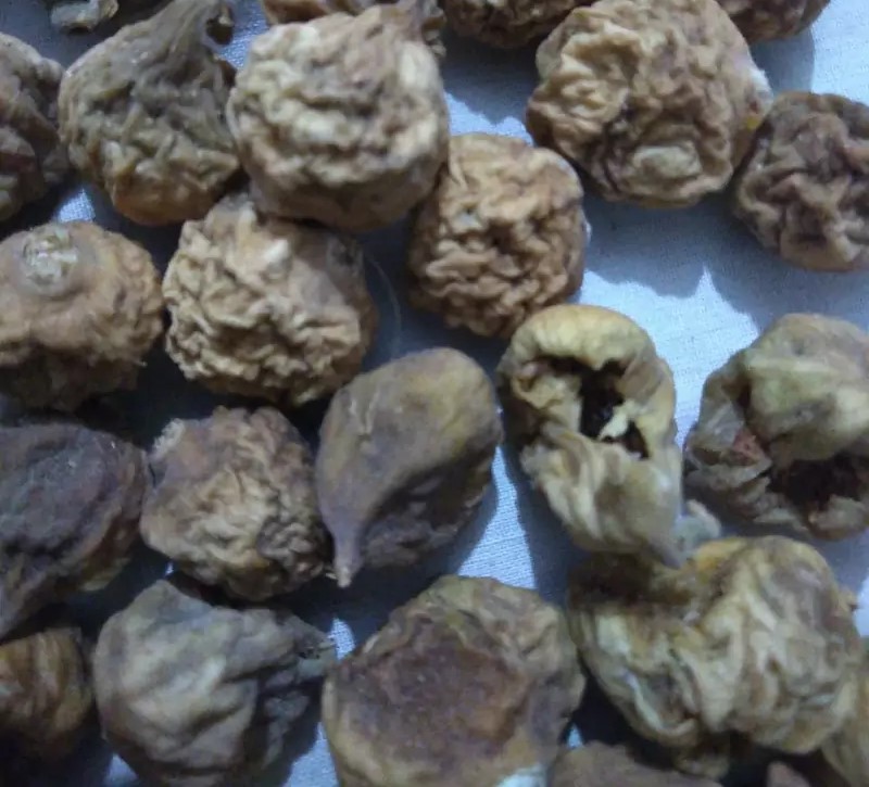 قیمت خرید انجیر صنعتی و ضایعات + فروش ویژه